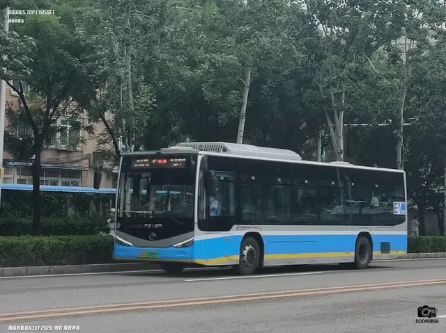 800BUS