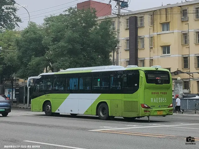 800BUS