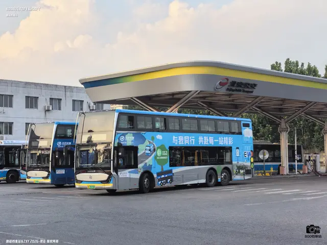 京A 36116D 京A 19588D