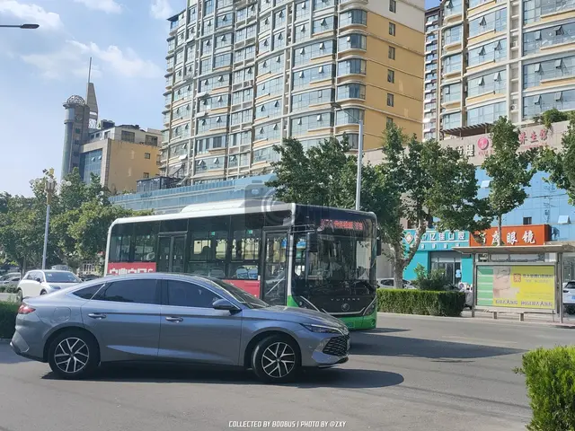 鲁Q 06893D