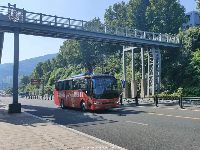 苏G 09555D