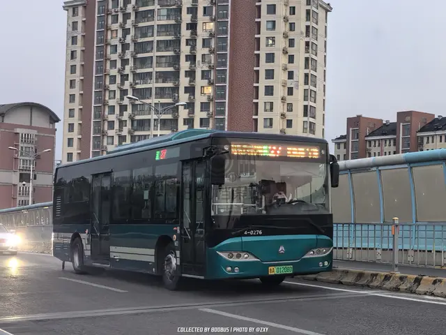 鲁A 01208D