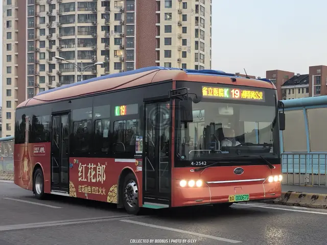 鲁A 00067D