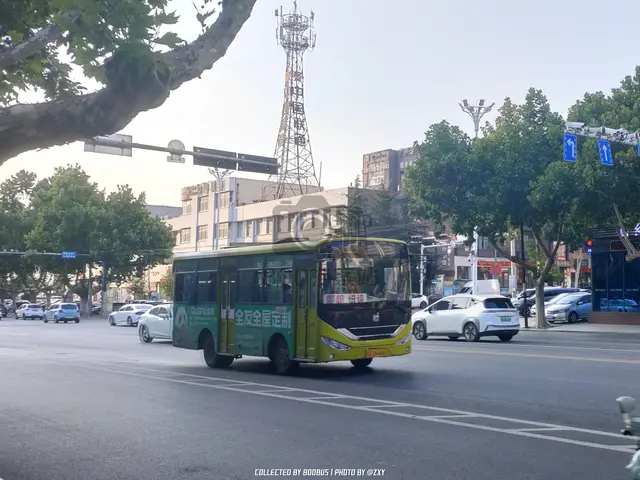鲁Q Z8666