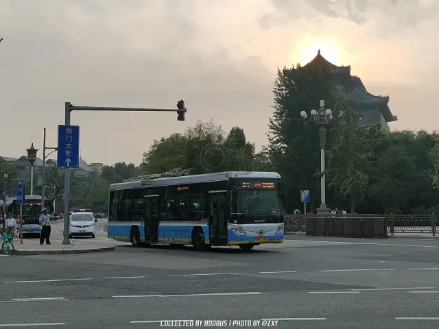京A EF113