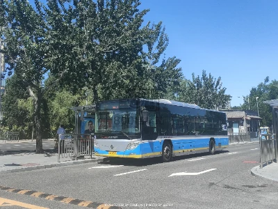京A DZ953