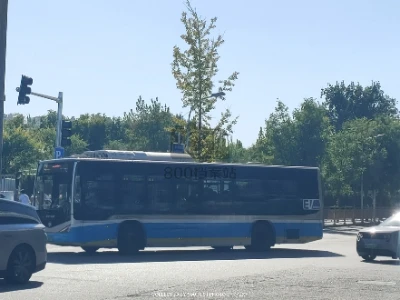 800BUS
