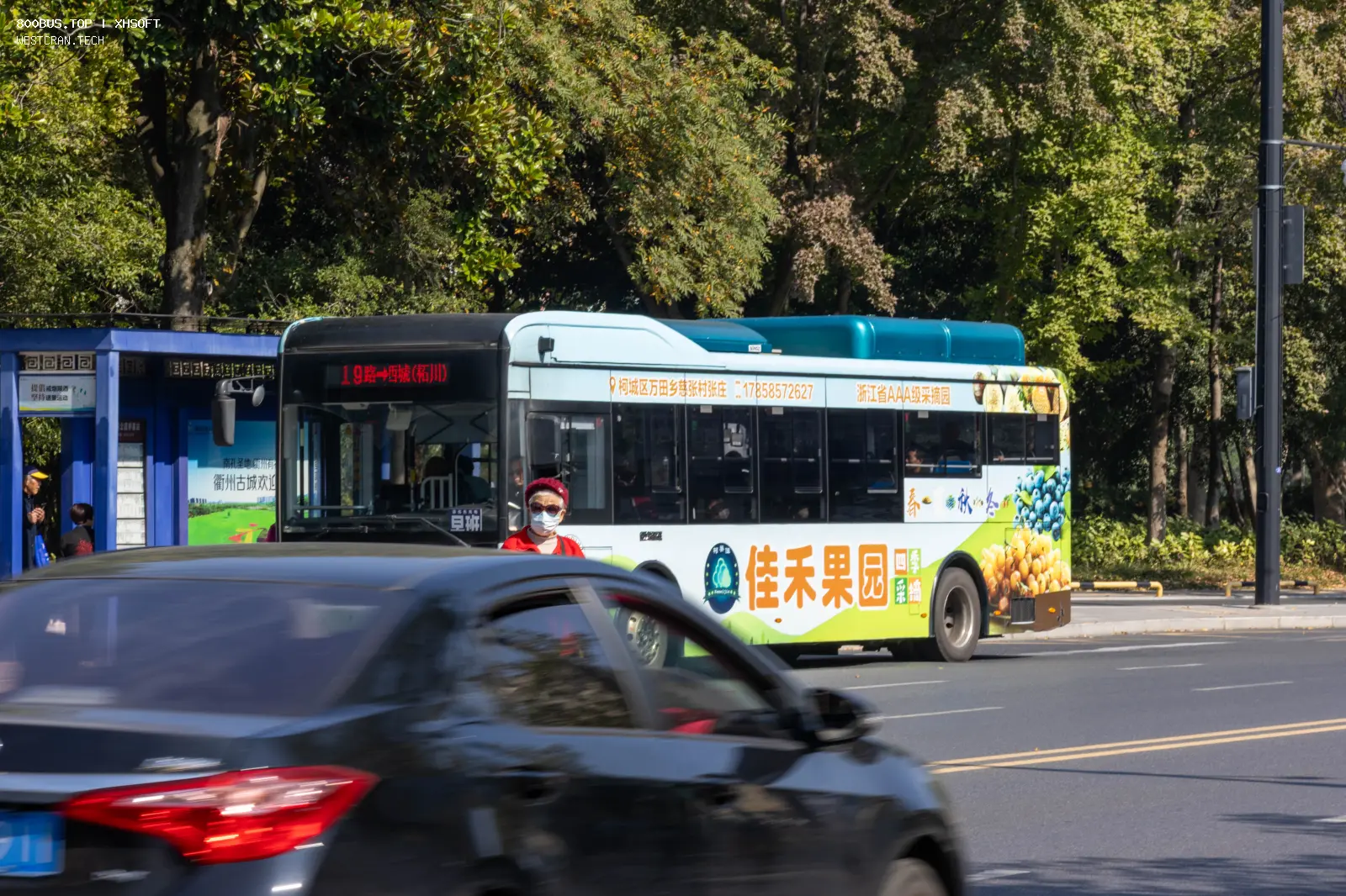 Bus Archive