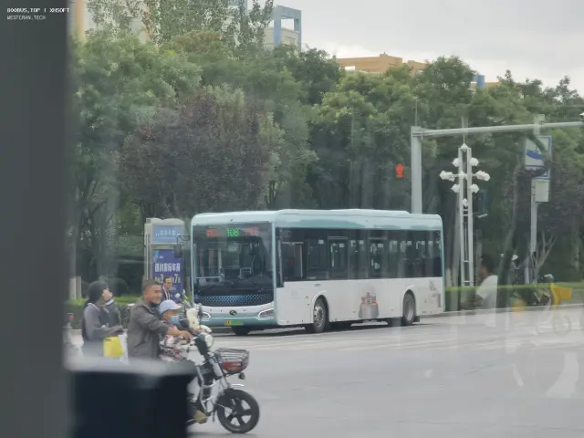 800BUS
