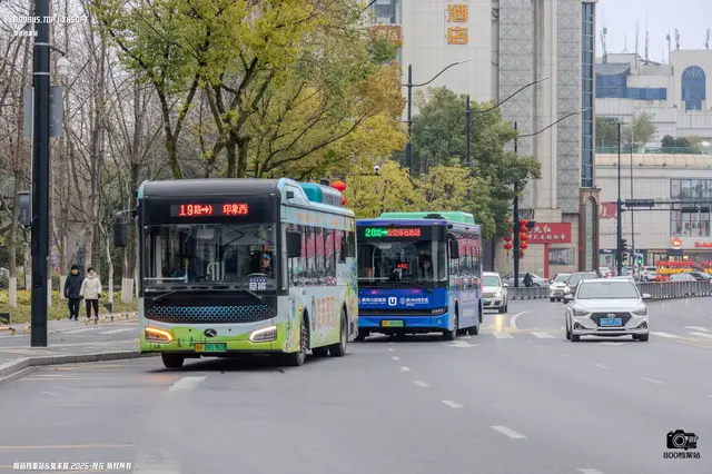左：浙H 09176D 右：浙H 09283D