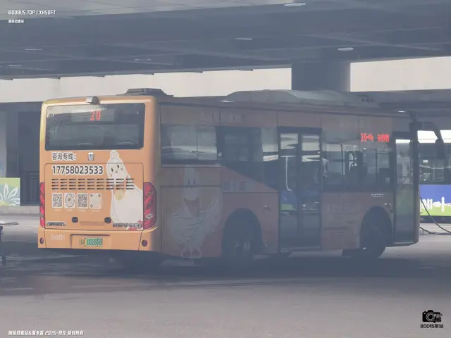浙A 00288D