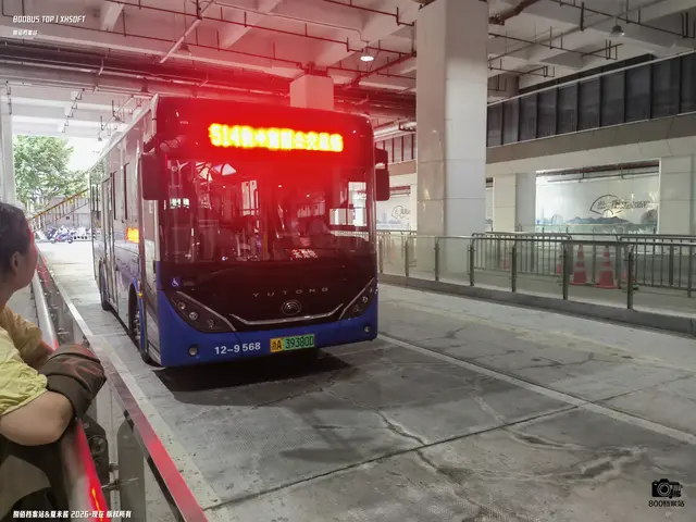 浙A 39380D