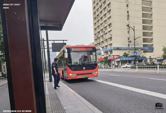 浙A 09207D