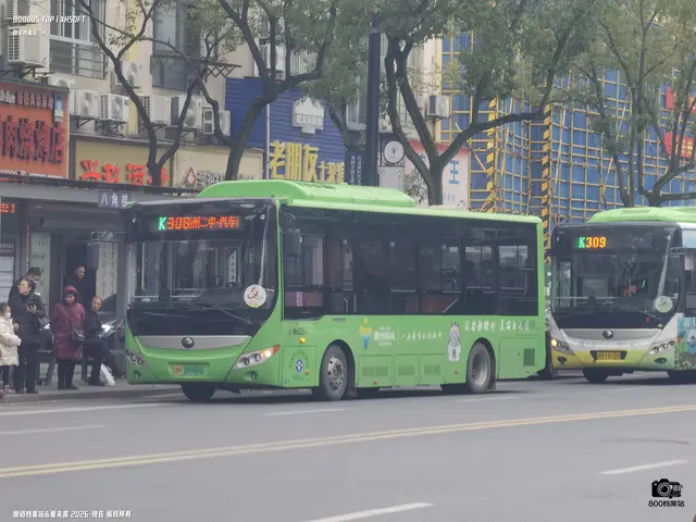 浙H 09988D