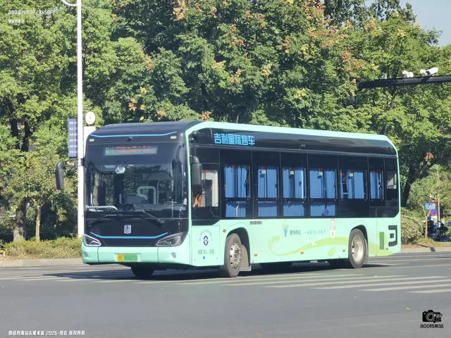 浙H 06805D