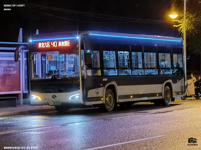 浙C 07197D