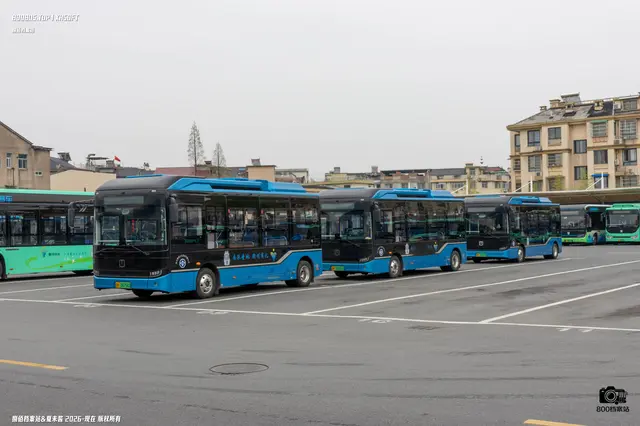 左：浙H 08256D 中：浙H 08285D 右：浙H 09699D
