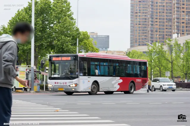 800BUS