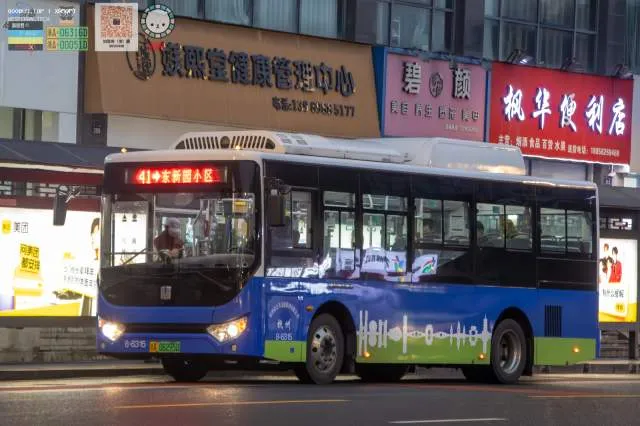 浙A06295D