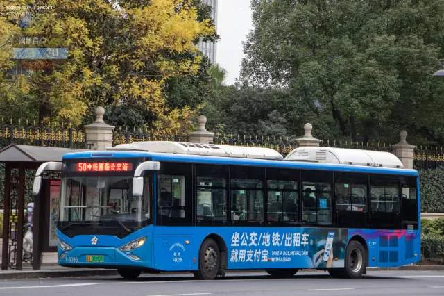 浙A06162D