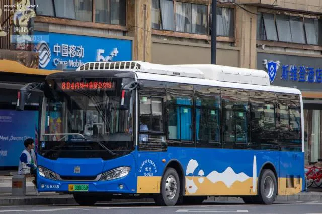 浙A30006D
