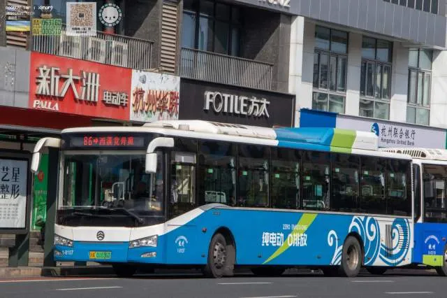 浙A01036D