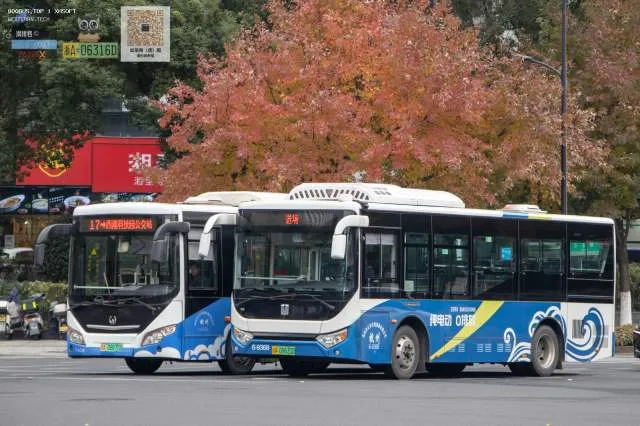 浙A08670D（左）浙A09633D（右）