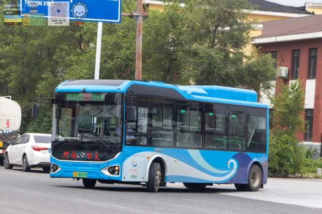 辽D06919D