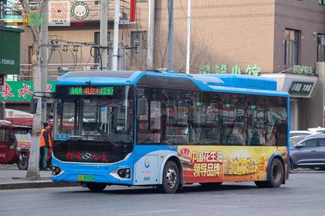 辽D09122D