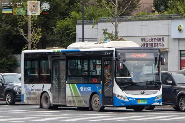 浙A06333D