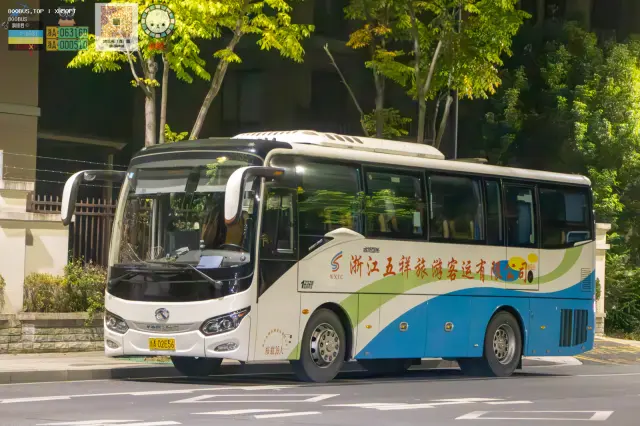 浙A02E56