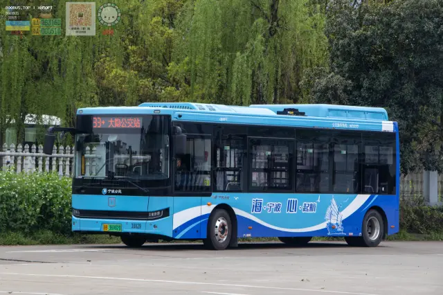 浙B 36982D