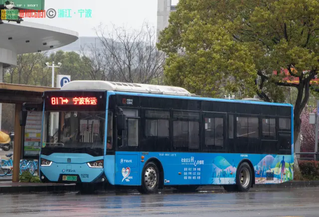 浙B 05538D