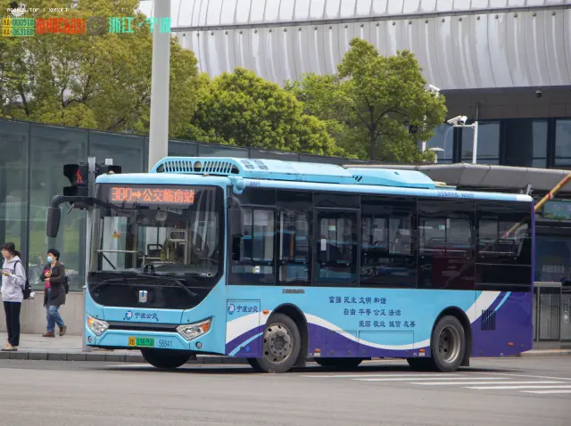 浙B 03835D