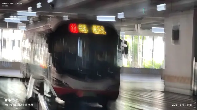 800BUS