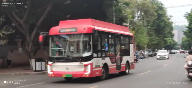 800BUS