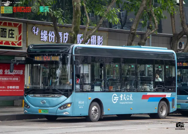 800BUS