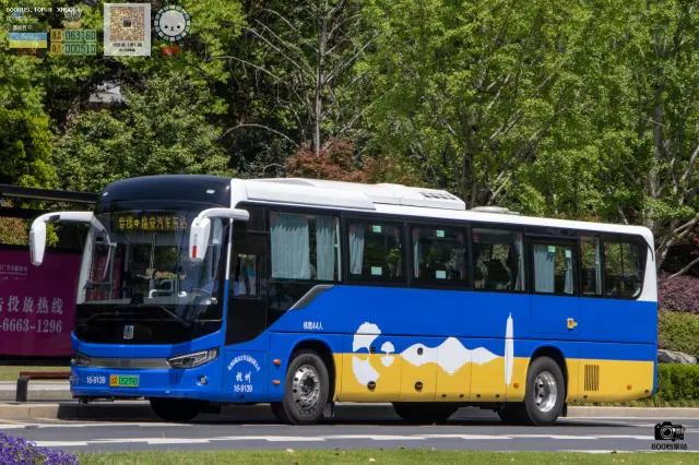 浙A 05239D