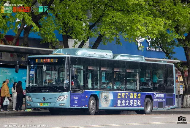 800BUS