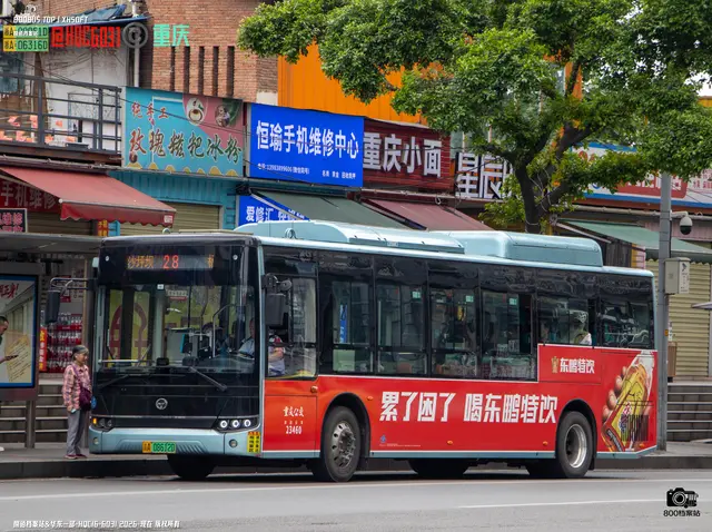 800BUS