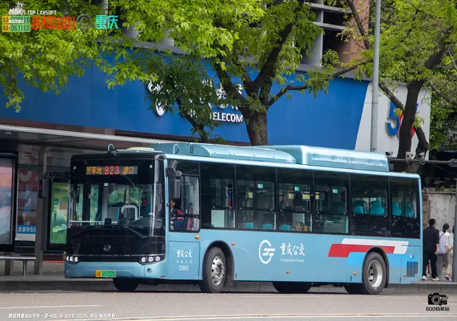 800BUS
