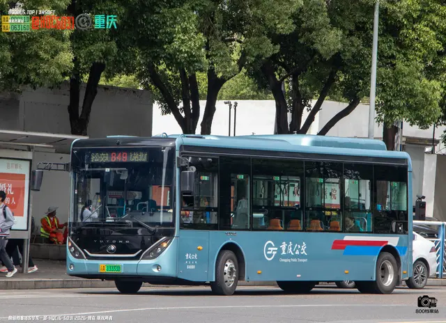 800BUS