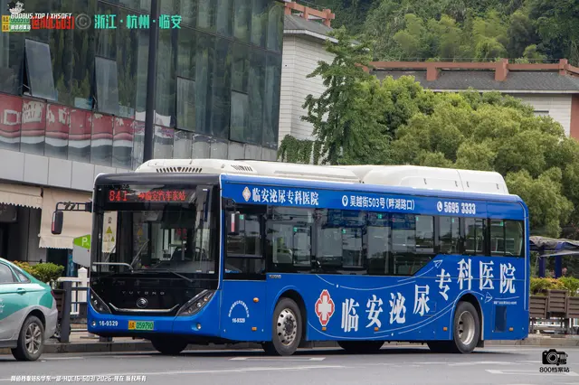 浙A 05979D