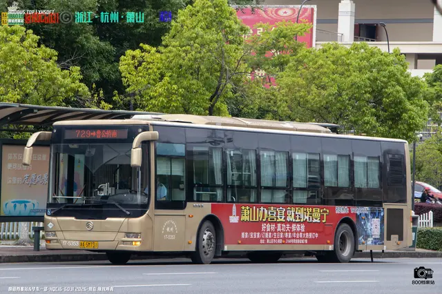 浙A 5M731