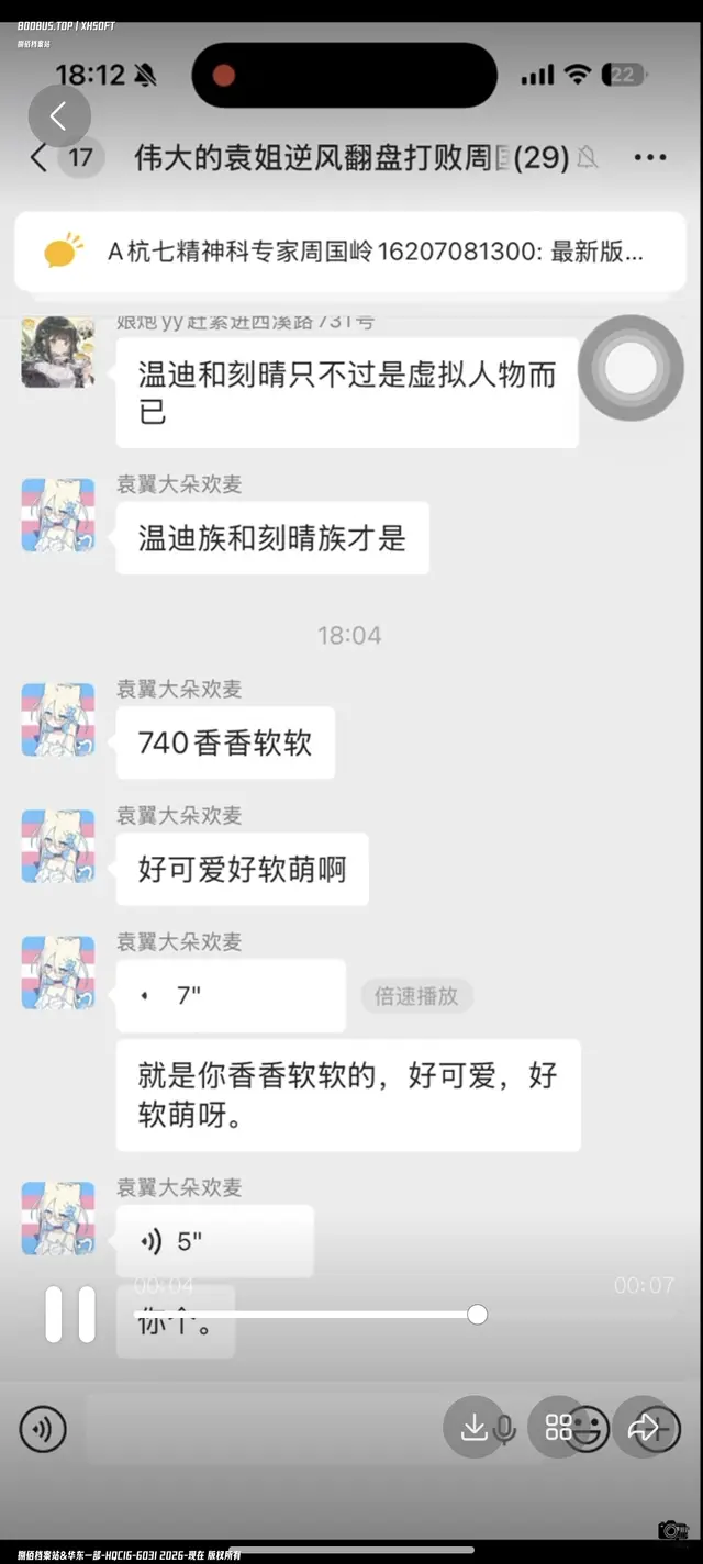 袁之神翼