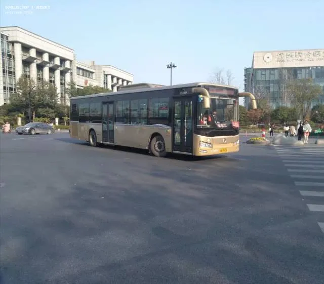 浙A.8P676
