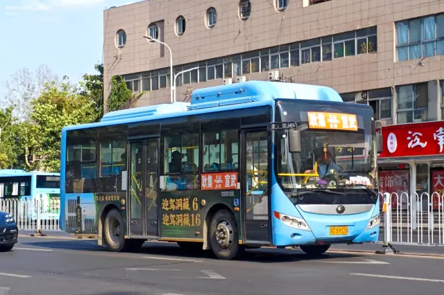 800BUS