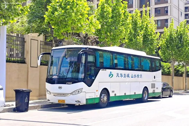 800BUS