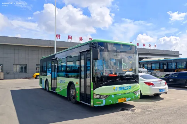 800BUS
