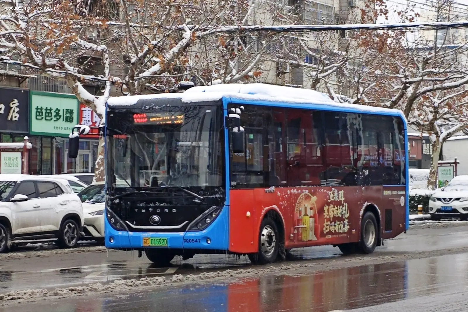 Bus Archive